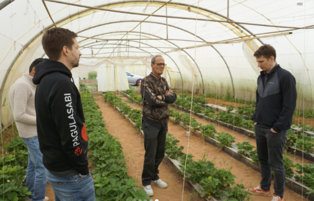 Jorgan Hydroponic Greenhouses