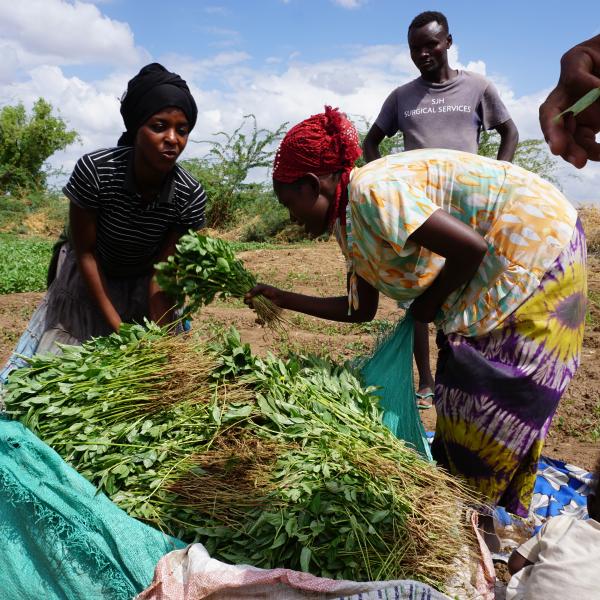 ERC in Kenya